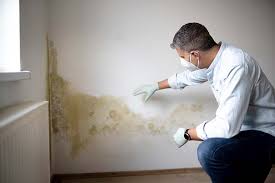 Mold Remediation for Vacation Homes